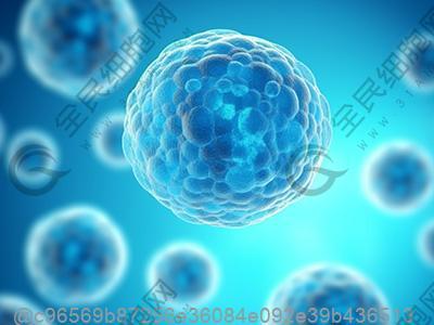 弱精症怎么改善饮食