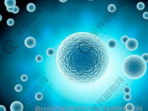 心梗和中风发生率降低58%，细胞疗法可以改善心衰预后！
