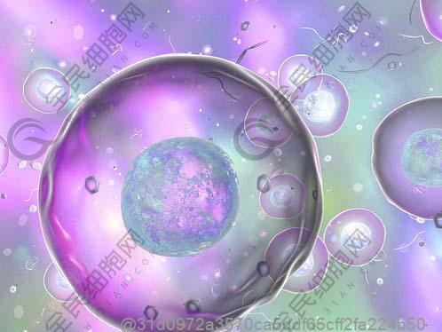 咳嗽一周不好是肺炎吗