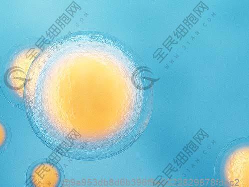 经期延长，需要8至9天才能完全结束