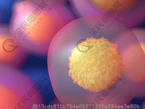 左踝关节反复肿痛7个月