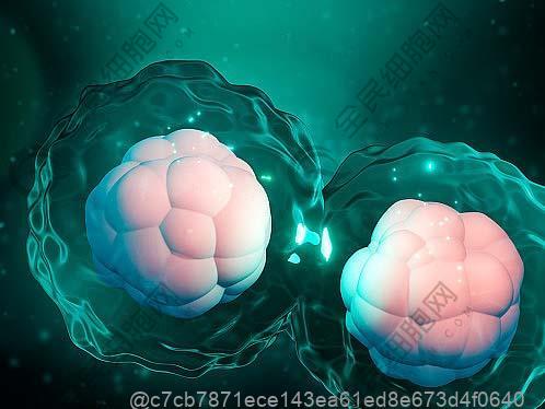 慢支肺气肿饮食指导