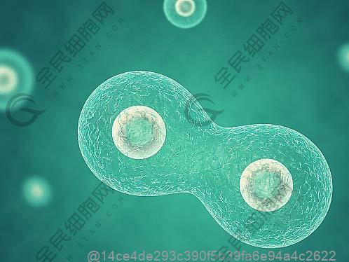 肺气肿应注意的饮食