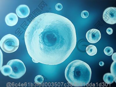 甲减的检查方法主要都有哪些呢？