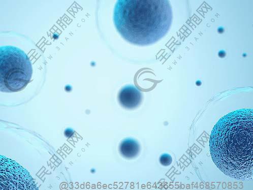 做输卵管造影前需要检查肺部ct