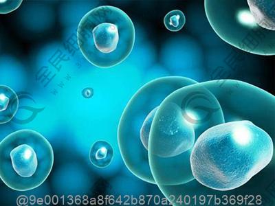 前IO年CT检查肺部有少许纤维灶