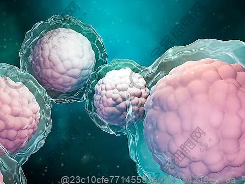 CT检查肺部有小黑点什么原因