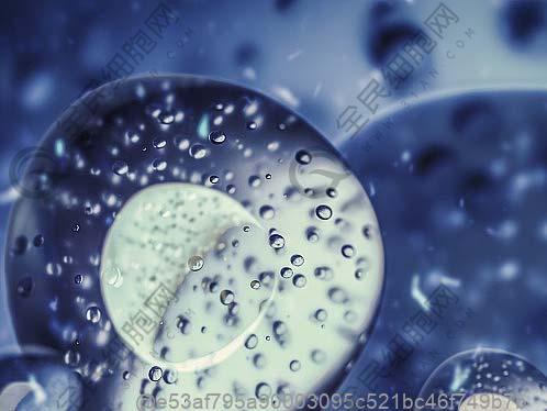 打干细胞后能吃青椒吗？适量食用的蔬菜