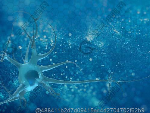 6岁小孩肺部ct检查的危害大吗