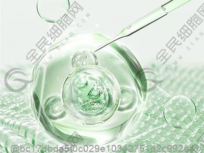 干细胞注射后饮酒损伤肝脏的风险