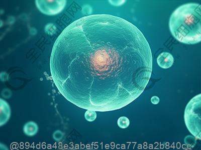 打完干细胞后熬夜+乱吃东西，还能补救吗？