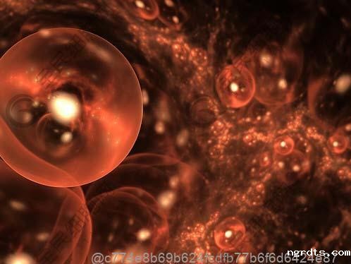 做完干细胞吃螃蟹对身体机能恢复有帮助吗​