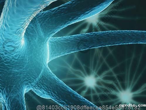 打完干细胞可以吃果脯吗？