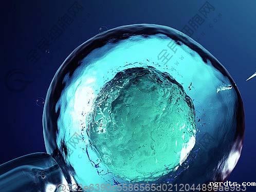 打干细胞后吃油炸食品会引发炎症吗？