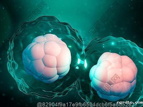 贵阳传染病四项检查结果多久出来