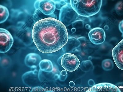 打干细胞前后吃错了东西怎么补救？应急措施