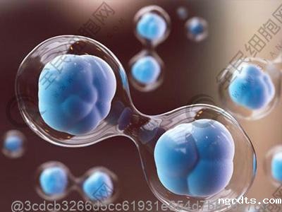 打干细胞期间吃什么水果不易过敏适合敏感肌？敏感肌选择​