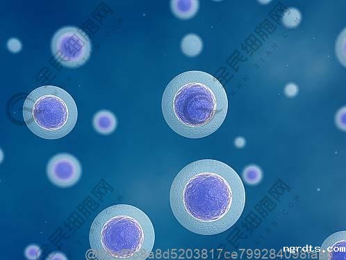 刚打干细胞吃嘎啦苹果要削皮吗？处理方式建议​