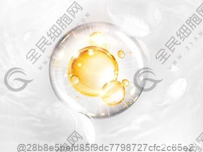 怀孕吃橘子对胎儿好吗