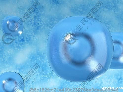 做完干细胞可以吃哪些岭南高纤维杨桃类水果？